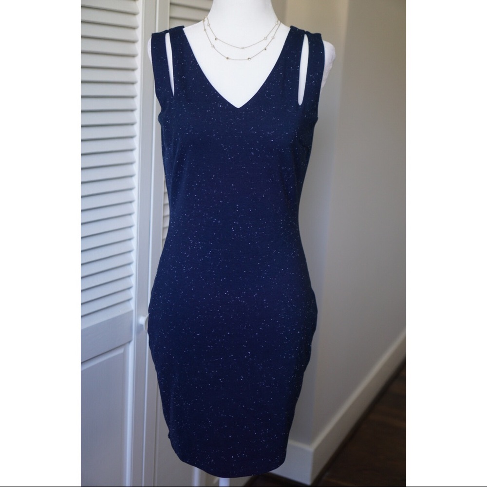 Alberto Makali Navy Blue w/ White Sheath Dress